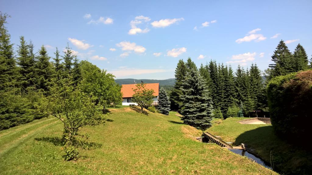 Вілла Chalet Lomy Нове-Мєсто-над-Метуї Номер фото