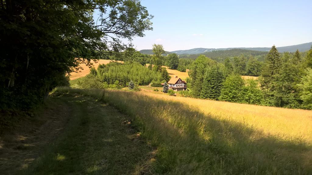 Вілла Chalet Lomy Нове-Мєсто-над-Метуї Номер фото